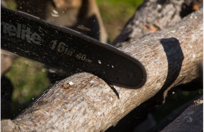 cutting a tree trunk